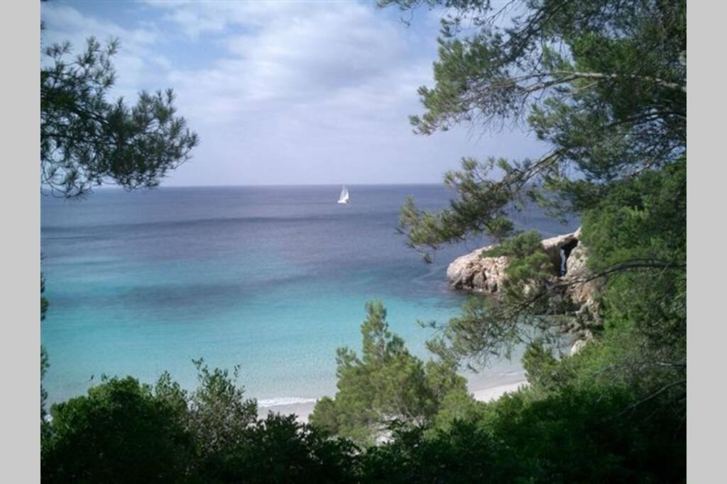 Apartment With Garden And Swimming And Beach Κάλα Μπλάνκα Εξωτερικό φωτογραφία
